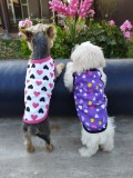 PetGear Kutyaruha - Cuki trikó szivecskés mintával - többféle színben