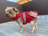 PetGear Kutyaruha - Könnyű, hálós anyagú trikó, hátul stílusos kistáskával - piros színben