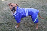 PetGear Kutyaruha - Kutyaesőkabát - Kutya esőkabát fényvisszaverő csíkkal (nagy kutyáknak is) - Kék színben