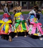 PetGear Kutyaruha - Virágmintás, nyári kutyaruha masnival - többféle színben