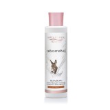 Pharmaid Donkey Milk Treasures Szamártejes hajkondicionáló keratinnal 250 ml