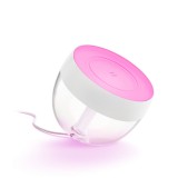 Philips Hue Iris fehér asztali LED lámpa, White and Color Ambiance, 8W, 570lm, RGBW 2000-6500K, 8719514264465