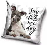 PHU Carbotex Sp. z o ul Rybnicka 14c, 44-338 Jastrzębie-Zdrój, Lengyelország biuro@carbotex.pl Kutyás párnahuzat 40*40 cm Amstaff