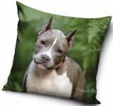PHU Carbotex Sp. z o ul Rybnicka 14c, 44-338 Jastrzębie-Zdrój, Lengyelország biuro@carbotex.pl Kutyás párnahuzat Pitbull 40x40 cm