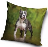 PHU Carbotex Sp. z o ul Rybnicka 14c, 44-338 Jastrzębie-Zdrój, Lengyelország biuro@carbotex.pl Kutyás párnahuzat Pitbull a vízben 40x40 cm