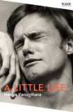 Picador Hanya Yanagihara: A Little Life - könyv
