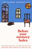 Picador Kawaguchi, Toshikazu: Before Your Memory Fades - könyv