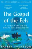 Picador Patrik Svensson: The Gospel of the Eels - könyv