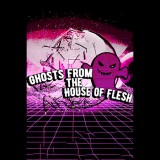 Piece Of Voxel Ghosts from the House of Flesh (PC - Steam elektronikus játék licensz)