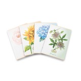 Pigna Flower Special A4 tűzött 42 lapos kockás füzet (P1111-2066)