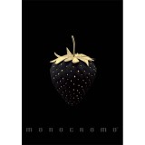 Pigna Monocromo Gold A4 tűzött 50 lapos vonalas füzet (P1111-1858)