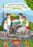 Pik-TÚRA Könyvkiadó Bt. Kampós Csaba, S. Németh József: A Rezeda család kalandjai a Mátrában - könyv