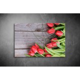 Piros Tulipánok Vászonkép 017 vi-017