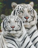 PIXELHOBBY Pixel szett 16 normál alaplappal, színekkel, fehér tigrisek (816111)