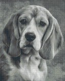 PIXELHOBBY Pixel szett 16 normál alaplappal, színekkel, kutya, basset hound (816229)