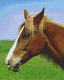 PIXELHOBBY Pixel szett 16 normál alaplappal, színekkel, ló (816191)