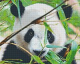 PIXELHOBBY Pixel szett 16 normál alaplappal, színekkel, panda (816181)