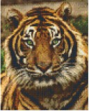 PIXELHOBBY Pixel szett 4 normál alaplappal, színekkel, tigris (804156)