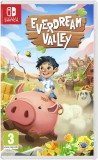 PLAION Everdream Valley, Nintendo Switch, Konzol játékszoftver
