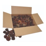 PlayBox: Fenyő toboz szett 125db-os