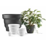 Plust Rebelot dizájn virágkaspó - 65