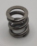 Poseidon Secondary Spring