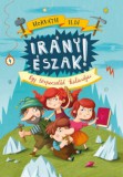 Pozsonyi Pagony Horváth Ildi: Irány Észak! - könyv