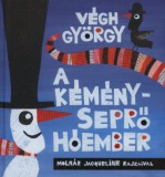 Pozsonyi Pagony Végh György: A kéményseprő hóember - könyv