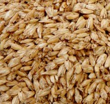 PRANA-Design Tönkölyhéj 0,5 kg