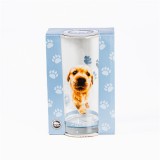 PRC Üditős pohár, Golden Retriever