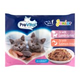 Prevital junior alutasakos macskaeledel 4x100g