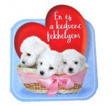 Pro Junior Kiadó Rozán Eszter: Én és a kedvenc fekhelyem - könyv