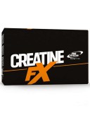 Pro Nutrition Creatine-FX (25x10gr.)