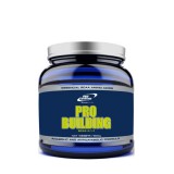 Pro Nutrition Pro Building (BCAA 4:1:1) (500 gr.)