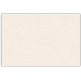 Procos Krémszínű papír asztalterítő – 120x180 cm