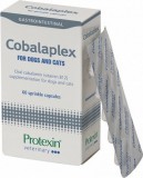 Protexin Cobalaplex kapszula 60 db