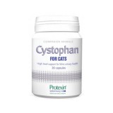 Protexin Cystophan kapszula 30 db