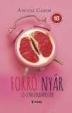 Publio Angyal Gábor: Forró nyár: 11+1 pasi Budapesten - könyv