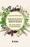 Publio Balláné Tóth Ilona: Barangolások a Medvesen - könyv