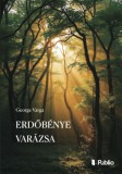 Publio George Varga: Erdőbénye varázsa - könyv