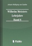 Publio Johann Wolfgang von Goethe: Wilhelm Meisters Lehrjahre  Band 8 - könyv