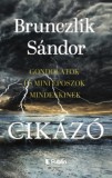 Publio Kiadó Brunczlik Sándor: Cikázó - gondolatok és mini eposzok mindenkinek - könyv