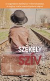 Publio Kiadó Gáspár Klára: Székely szív - könyv