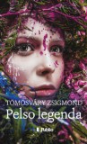 Publio Kiadó Tömösváry Zsigmond: Pelso legenda - könyv