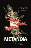 Publio Poczai Péter: Metanoia - könyv