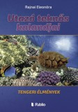 Publio Rajnai Eleonóra: Utazó teknős kalandjai - könyv