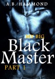 Publishdrive A.B Hammond: My Big Black Master - M/M Submission - könyv