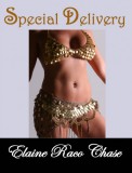 Publishdrive Elaine Raco Chase: Special Delivery - könyv