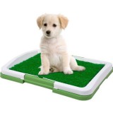 Puppy Potty Pad - Többrétegű, Szagelnyelős Beltéri Kutyatoalett Kutya WC RAKTÁRON