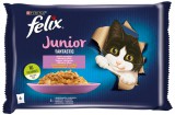 Purina FELIX FANTASTIC Junior Csirkével/Lazaccal aszpikban nedves macskaeledel 4x85g